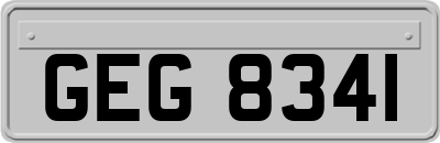 GEG8341