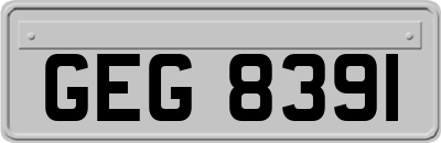 GEG8391