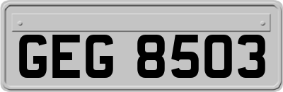 GEG8503