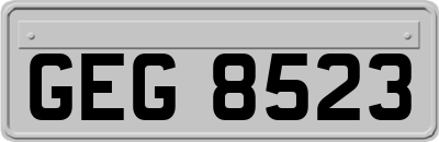 GEG8523
