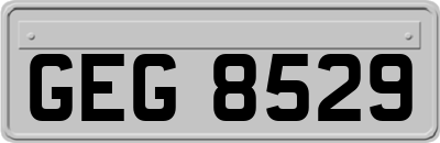 GEG8529