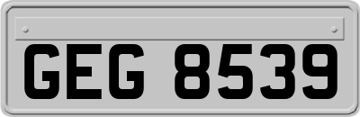 GEG8539