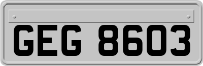 GEG8603