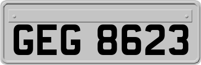 GEG8623