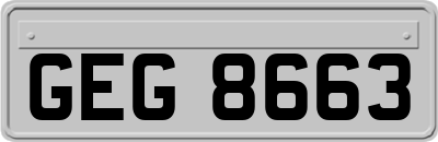 GEG8663