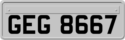 GEG8667