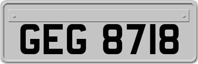 GEG8718