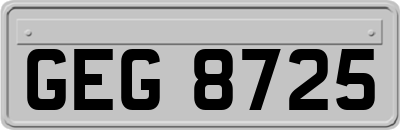 GEG8725