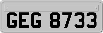 GEG8733
