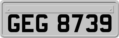 GEG8739