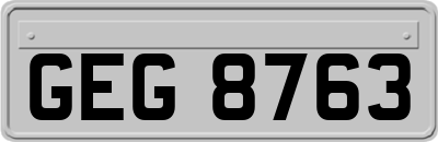 GEG8763