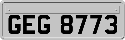 GEG8773
