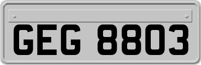 GEG8803