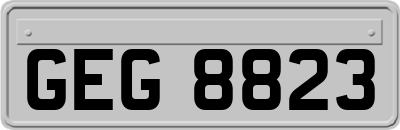 GEG8823
