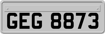 GEG8873