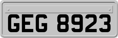 GEG8923