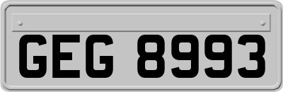 GEG8993