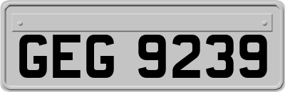 GEG9239