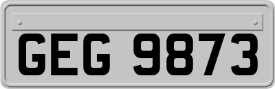 GEG9873