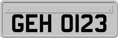 GEH0123