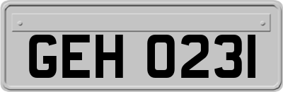 GEH0231