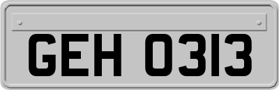 GEH0313