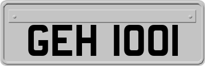 GEH1001