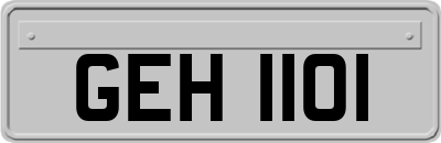 GEH1101