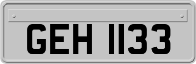 GEH1133