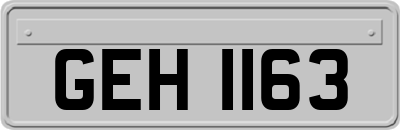 GEH1163