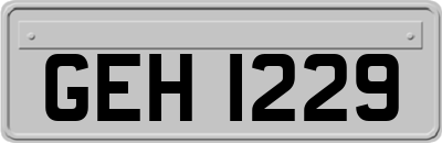 GEH1229