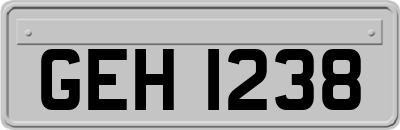 GEH1238