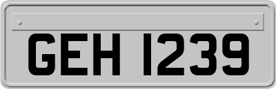 GEH1239