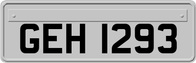 GEH1293