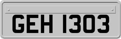 GEH1303
