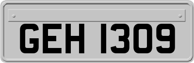 GEH1309