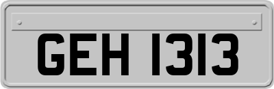 GEH1313