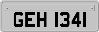 GEH1341