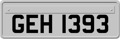 GEH1393