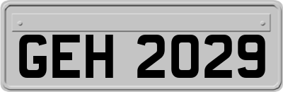 GEH2029