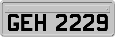GEH2229