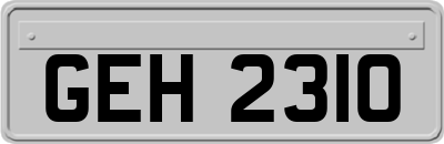 GEH2310
