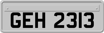 GEH2313