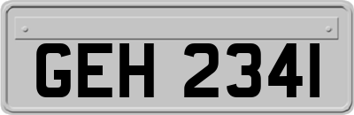GEH2341