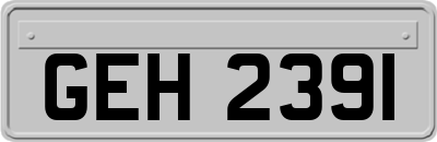 GEH2391