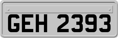 GEH2393
