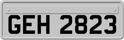 GEH2823