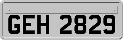 GEH2829
