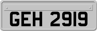 GEH2919