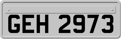 GEH2973